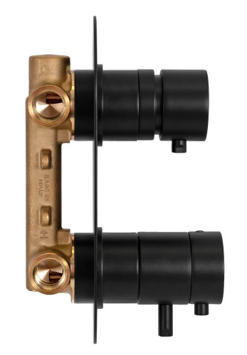 Смеситель для душа Remer Elegance NT92NO, черный матовый