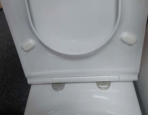 Унитаз напольный Jacob Delafon Rodin UJAB102-00