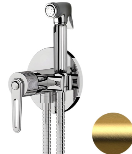 Гигиенический душ Daniel Brooklyn BY645DCZDP