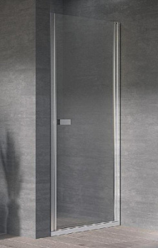 Душевая дверь Kolpa-San Andromeda N 100 silver brill transparent 516710