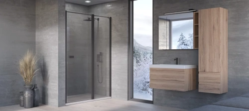 Душевая дверь Kolpa-San Andromeda N 120 black transparent 516780