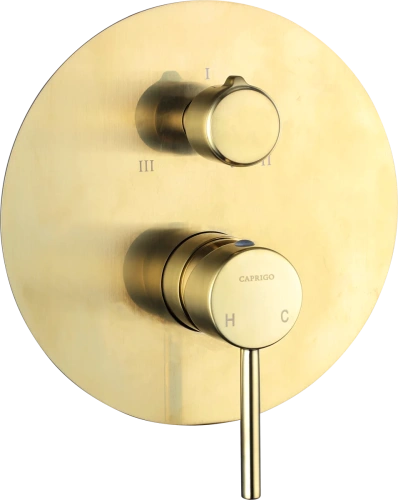 Смеситель для душа Caprigo Don 53-552-brg
