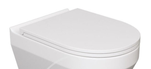 Сиденье для унитаза Caprigo POLO POL-1403