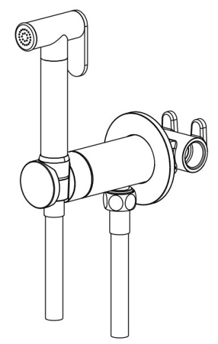 Гигиенический душ Nemo NM-2322BG brush gold