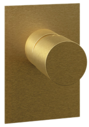 Смеситель для душа Remer Edge EG530BG, золото брашированное