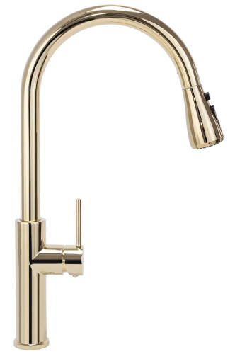 Смеситель для мойки Rea Nest Gold B2058