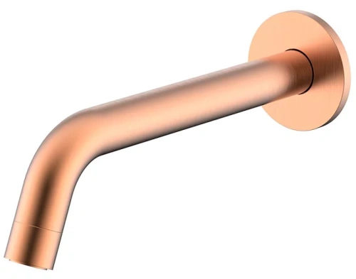 Излив настенный Nemo Round NM-8015RG rose gold