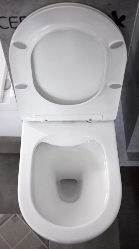 Унитаз подвесной Ceramalux 2196-1