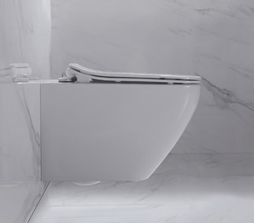 Унитаз подвесной Nemo 818B