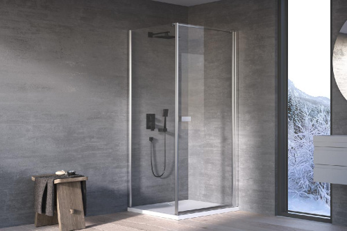 Душевая дверь Kolpa-San Andromeda D 100 silver brill transparent 516530