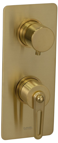 Смеситель для душа Daniel Brooklyn BY612D2KBDP