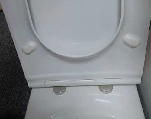 Унитаз подвесной Jacob Delafon Rodin EDY102-00