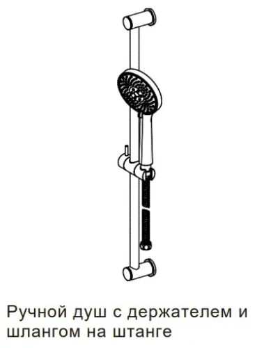 Душевой гарнитур Nemo NM-Q4003-BG brush gold