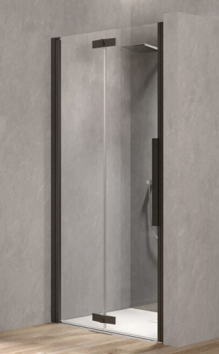 Душевая дверь Kolpa-San Polaris Fold N 90-L black transparent 516410