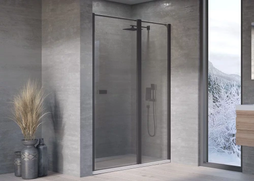 Душевая дверь Kolpa-San Andromeda N 120 black transparent 516780