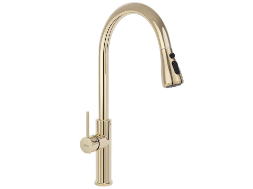 Смеситель для мойки Rea Nest Gold B2058