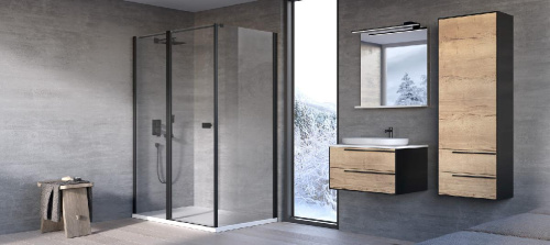 Душевая дверь Kolpa-San Andromeda D 160 black transparent 516650