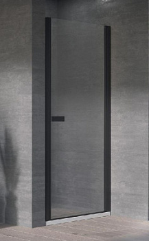 Душевая дверь Kolpa-San Andromeda N 80 black transparent 516750