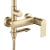 Душевая система Rea Veneta gold matt P3003