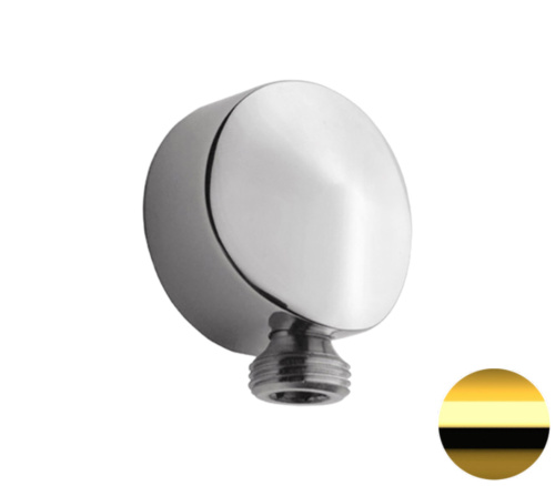 Шланговое подключение для душа Remer 309LDO, золото глянцевое