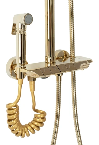 Душевая система Rea Max gold P6617