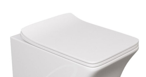 Сиденье для унитаза Caprigo JEWEL JEW-1103