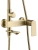 Душевая система Rea Storm gold matt P9536