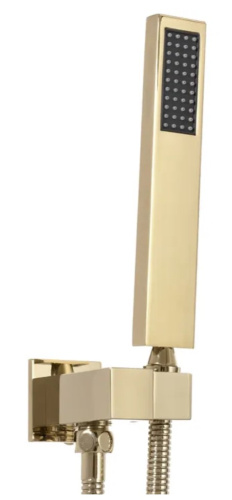 Душевая система Rea Davis Gold P6324